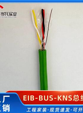 EIB-BUS-KNS总线电力电缆设备保护绝缘总线供应品质可靠