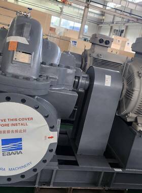 EBARA双吸意大利不锈钢泵