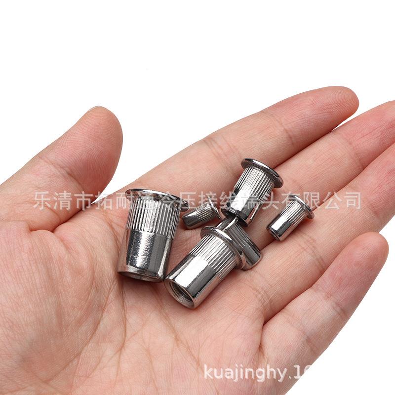 eBay货源平头铆螺装900pc盒装不锈ZLP钢沉头滚花s拉铆螺套母M-M1