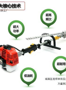 进口TUE2草6带绿修剪机进口高宽枝割机高枝花带修MNF篱边绿篱机