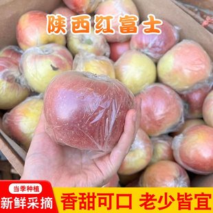 陕西膜袋红富士苹果新鲜水果应当季一整箱脆甜包邮冰糖心丑平苹果