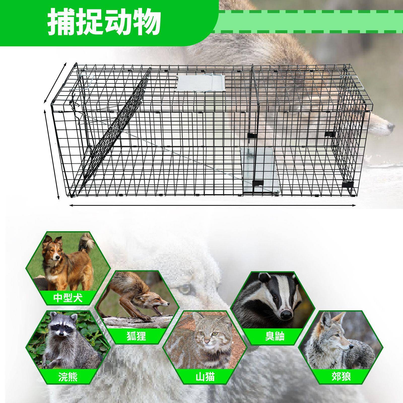 人大号镀折锌可叠FJH自动捕鼠笼多场景使用道主捕义兽笼抓猫器陷