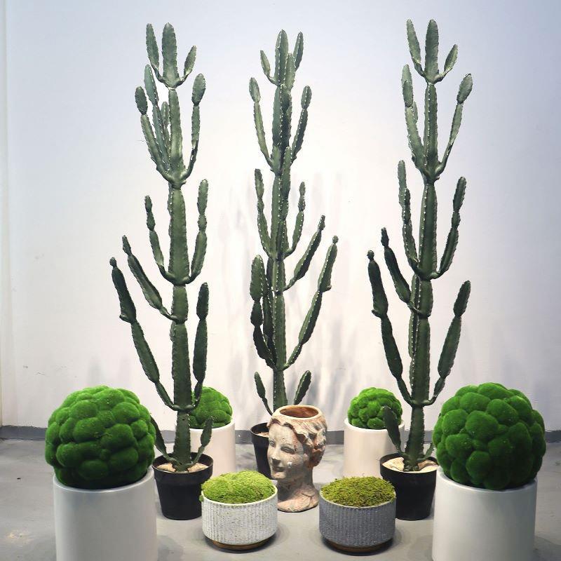 仿真仙人套掌绿gczw植植物大型内盆栽室装饰装微景布置观摆件摆设