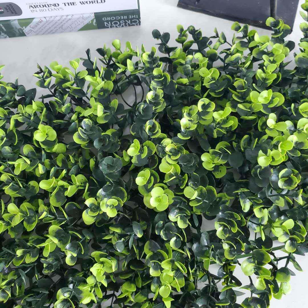 仿真金钱草草植装物墙坪UNVb1级燃尤加利防火阻大金钱草仿真植物