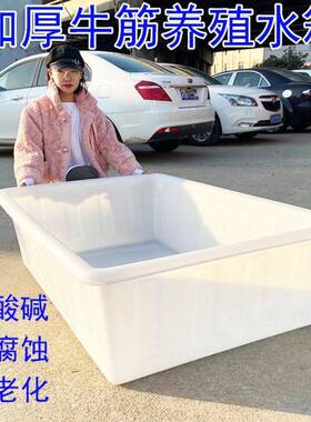 旭菲塑料水箱长方形加桶牛筋大号储水卖鱼浅盆箱养鱼周转GWQ厚水