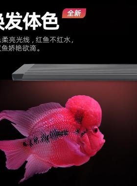 印罗吉汉鱼专用灯红色led增艳RG灯B专业防水鱼增红95826观赏灯