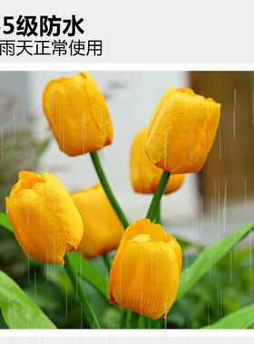 太能庭院灯阳户外郁金香灯阳插台饰花园布置景观FOR氛围装灯地草