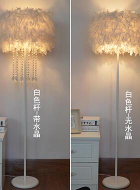 灯饰网红白色羽毛水晶立式落地灯客厅书房卧室床头台灯主播补光灯