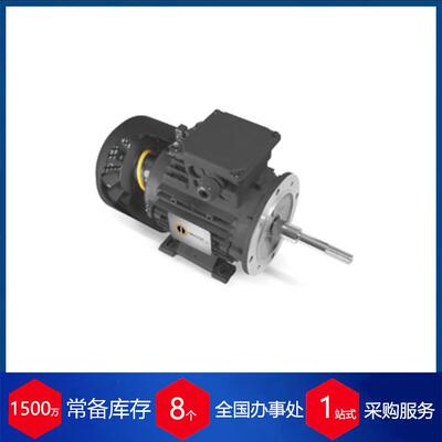 供应意大利Sicmemotori交流电动机BQAr160M