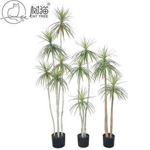 高品质仿真植物摆件狭叶龙舌兰盆栽高杆龙血树商场装饰荷兰铁假树