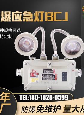 LED防爆应急灯BCJ楼道车间仓库应急双头灯疏散照明出口指示灯