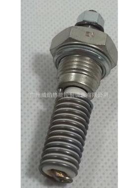 0057电极德国贝鲁BERU