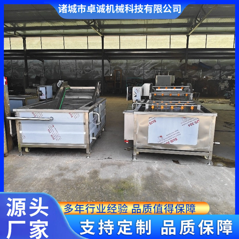 黄花菜清洗去泥设备二段喷淋气泡清洗机鲜韭菜扁豆气泡清洗机