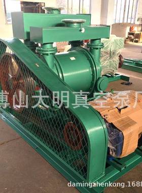 B3EA30水环式真泵多种功率空2BE1-30609323/2BE303水2环式真空泵