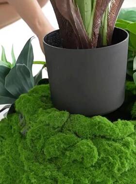 窗仿真绿植室内楼梯角JPU落景观玄关落地橱摆植物装饰件假树装造