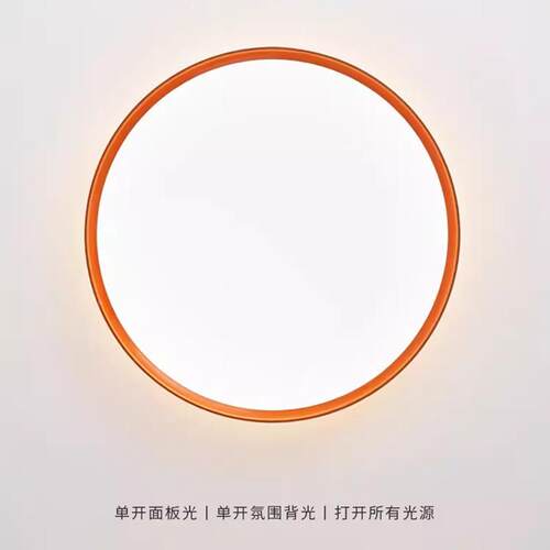 卧极简客厅卧室顶灯儿吸童房护眼房简约现代2029595新款间主中山