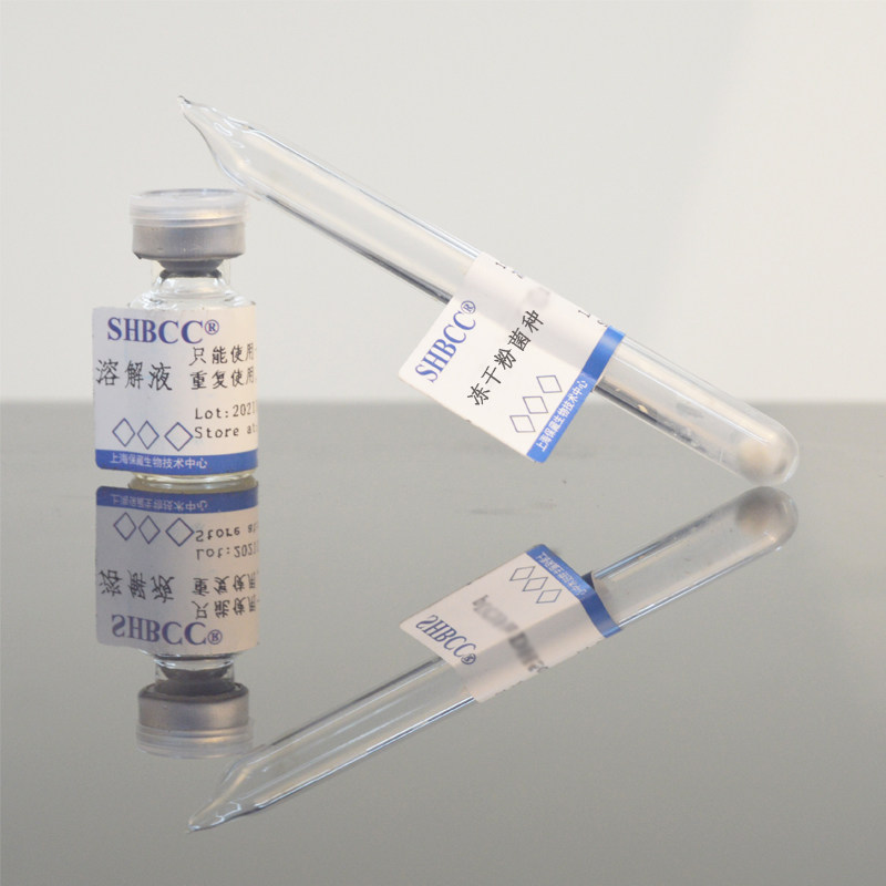 木醋杆菌ATCC23767冻干粉产纤维素膜醋酸液体培养基30度静置培养