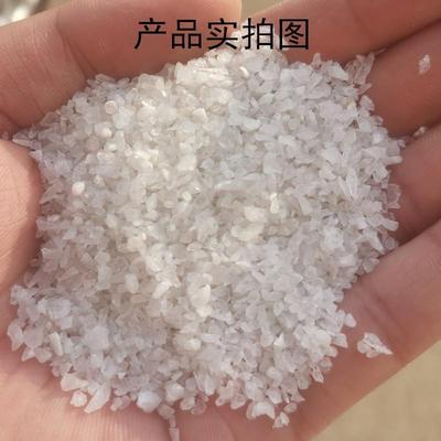石英沙过子造景白耐279沙石灭烟沙铸造石英砂颗粒烟灰沙滤砂头高
