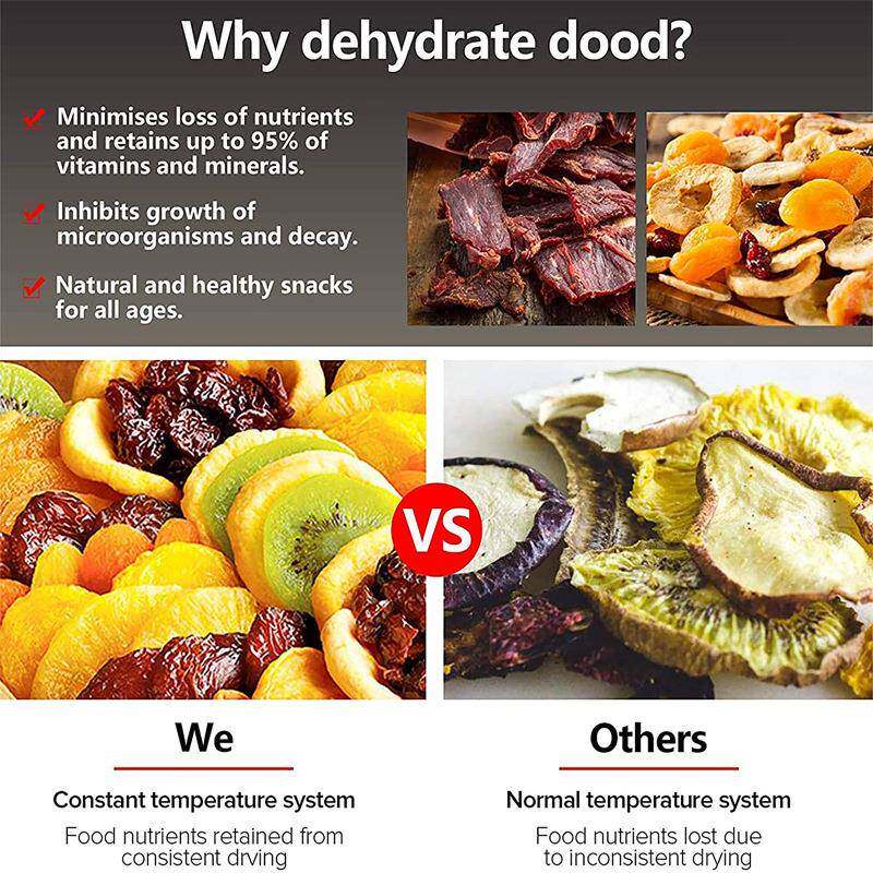 食烘干机不锈果钢食品脱水机迷你水LT18干物果机片果风干机树脂烘