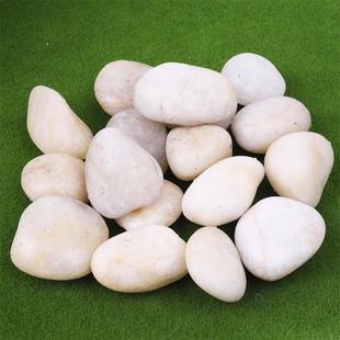 白色鹅石卵工石厂家铺路园林景观普通744程抛光雨花石造景头