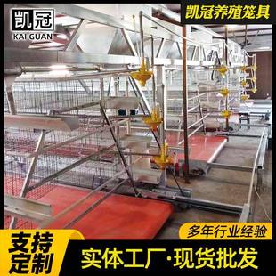 立体层阶梯式蛋鸡笼全自动蛋鸡养殖笼子三组阶合式蛋鸡笼XJW子梯