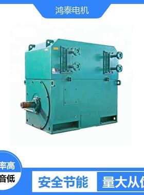 鸿泰高压三相异步电机tYXKK-500L1-12t220KWt6KVt耐高强度振动