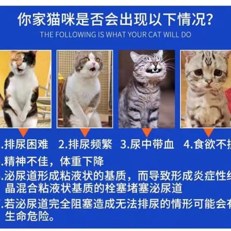 沙司多芬Cystophan猫利尿通尿频尿血尿道感染结石膀胱炎沙斯多芬