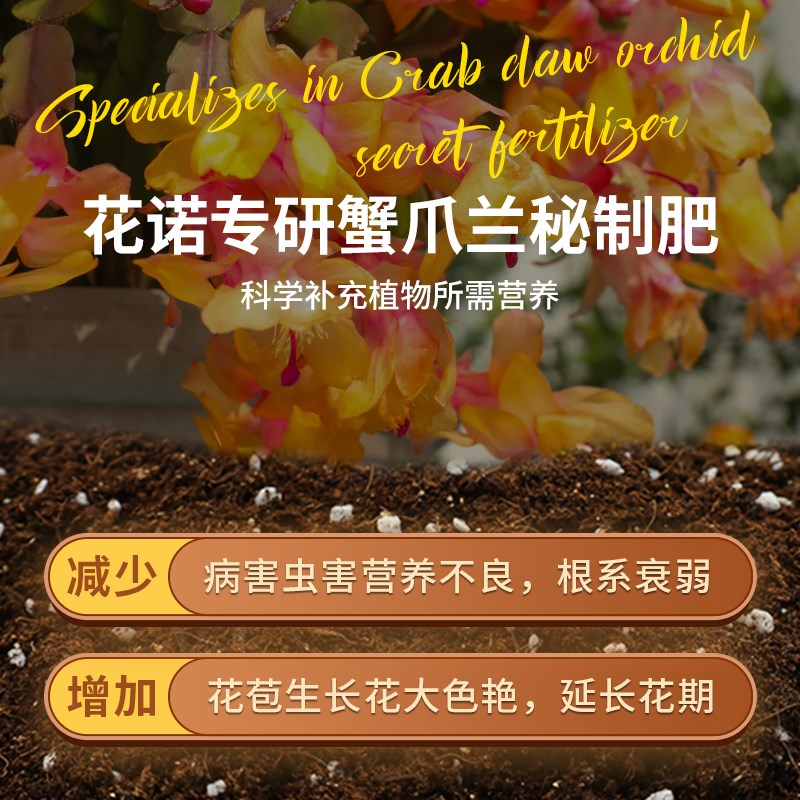 种蟹爪兰专用土花土蟹爪莲营养土开花专用肥蟹脚兰盆栽蟹甲兰土图片