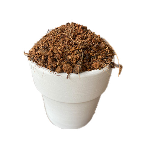 龙血树专用土龙血树土家用盆栽酸性沙质泥炭红土壤绿植种植土肥料