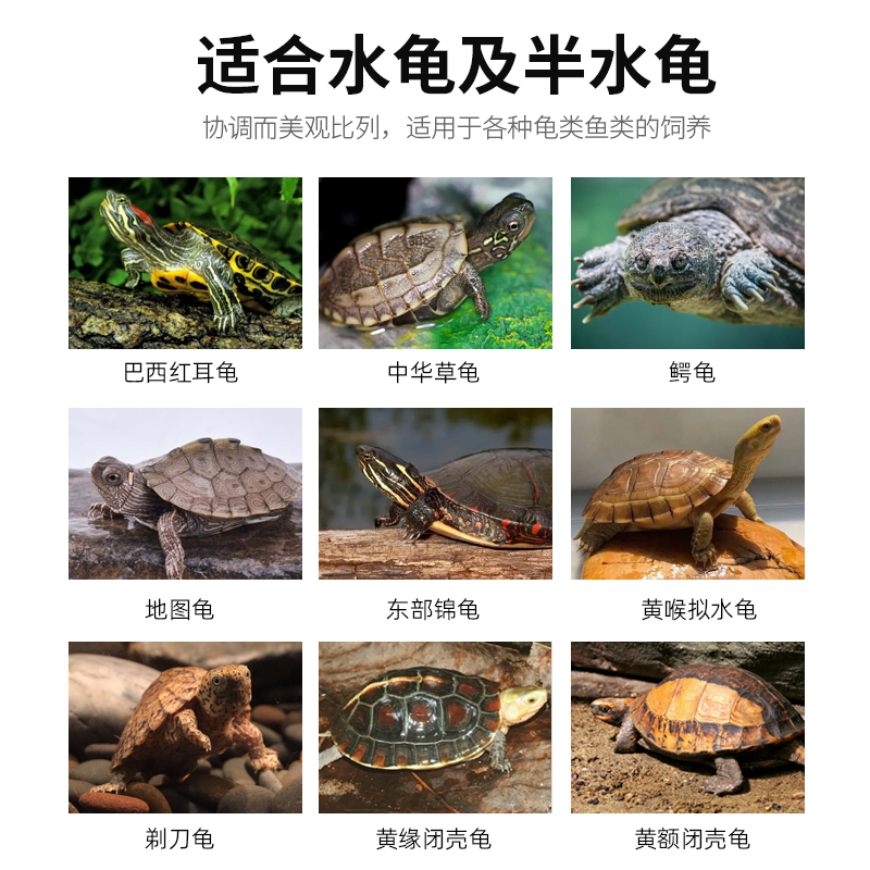 玻璃木纹乌龟缸生态造景带晒台别墅家用客养龟的专用饲养缸小鱼缸