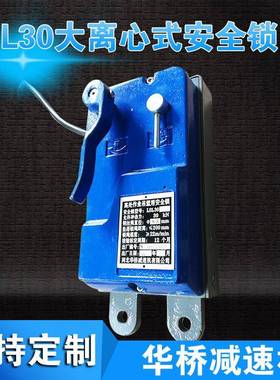 LSL30大离心式安全锁离心触发式安全锁高处作业吊篮用安全锁
