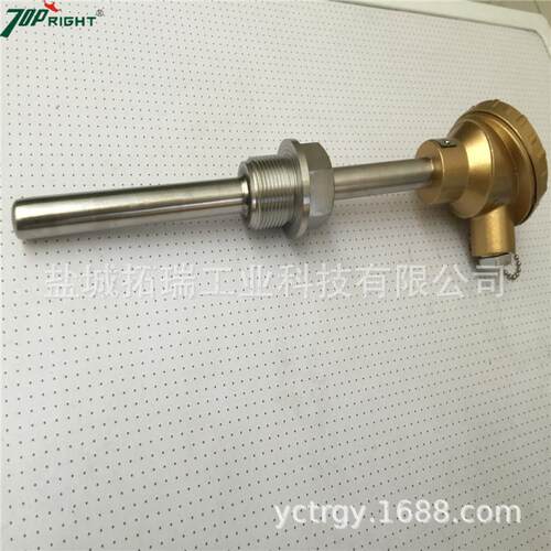 订做pt1000铂热电阻PT100装配式热电阻测量精准耐用