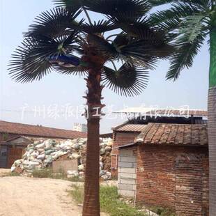 仿真棕榈树假棕葵树人造老人葵会展摄影道具人造扇叶棕榈树