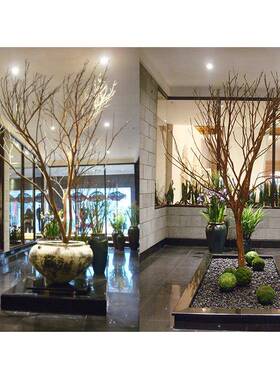 干树枝枯树枝白色树枝摆件造型树杆仿真树枝干假树枝装饰直销