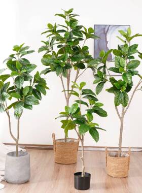 绿色橡胶树仿真植物盆栽室内盆栽植物假树居家落地装饰造景叶子