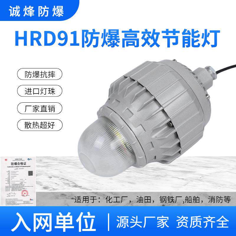 hrd91防爆节能led灯吸顶灯法兰式护栏式吊杆弯管式防爆灯iic隔爆