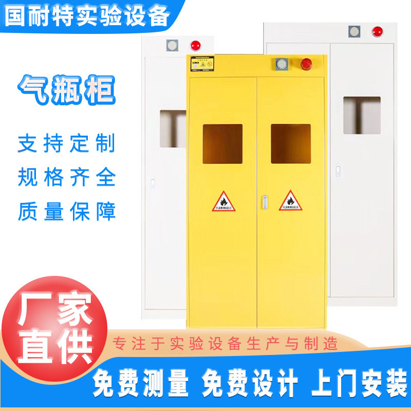 实验室气瓶柜全钢防爆气瓶柜智能报警器泄压气瓶柜实验室气瓶柜
