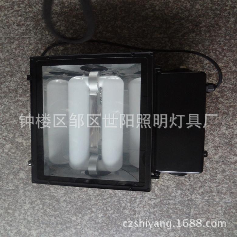 频高低无极灯灯具具无配件灯灯电话咨询罩极灯泛光灯集装箱整柜