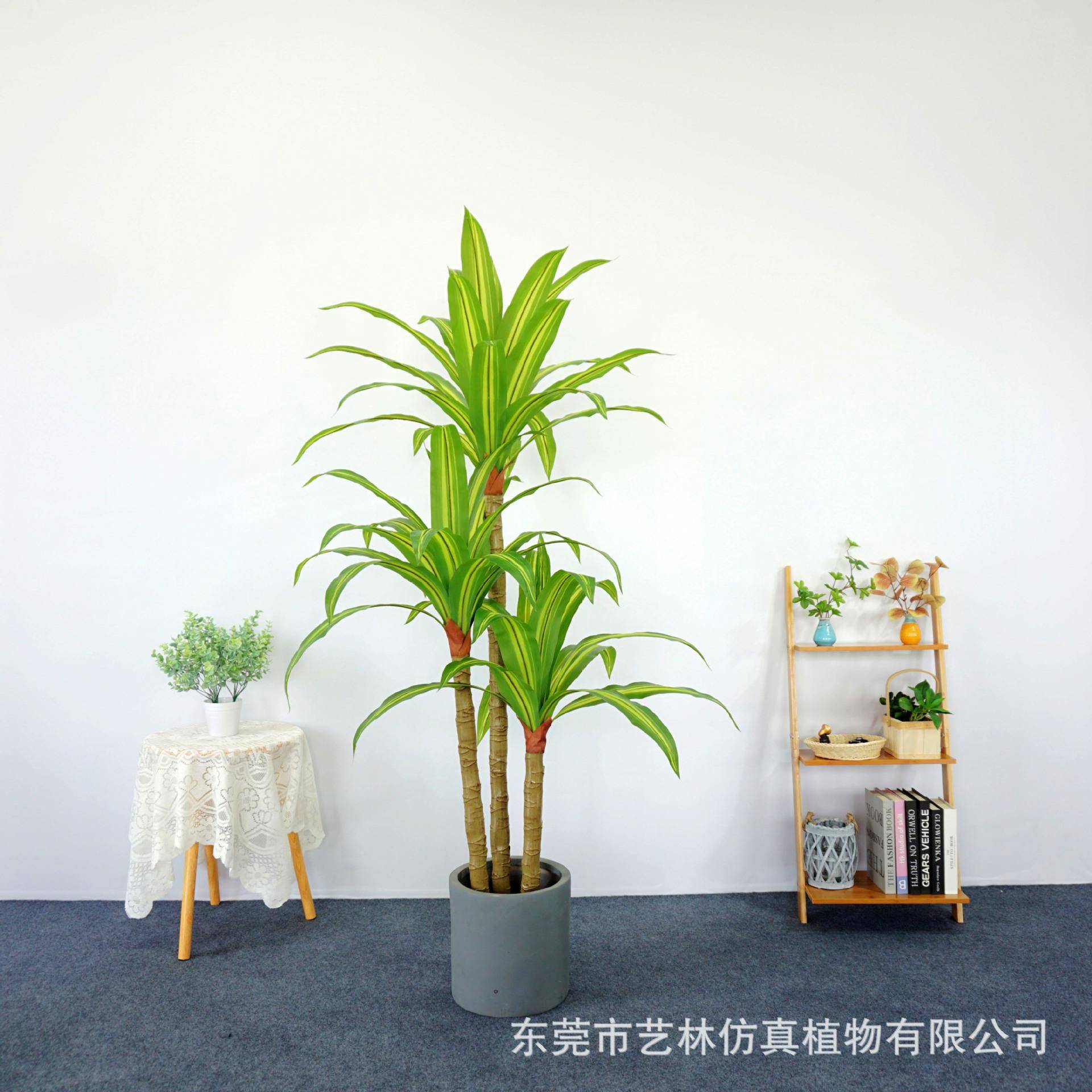 栽真跳舞兰客厅室物内大仿型落地植装饰花草盆景巴西木88970铁假