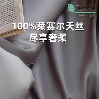 LF级100支奥地单利57兰精笠天丝夏季床件套冰丝夏凉被套床床真四