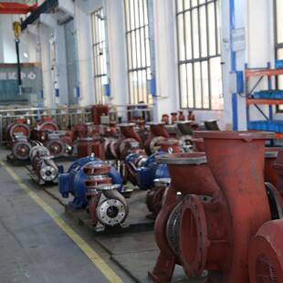 上海成泵SLS立50 管道增压泵单级离心泵自来水水抽水泵 20LTE连0式