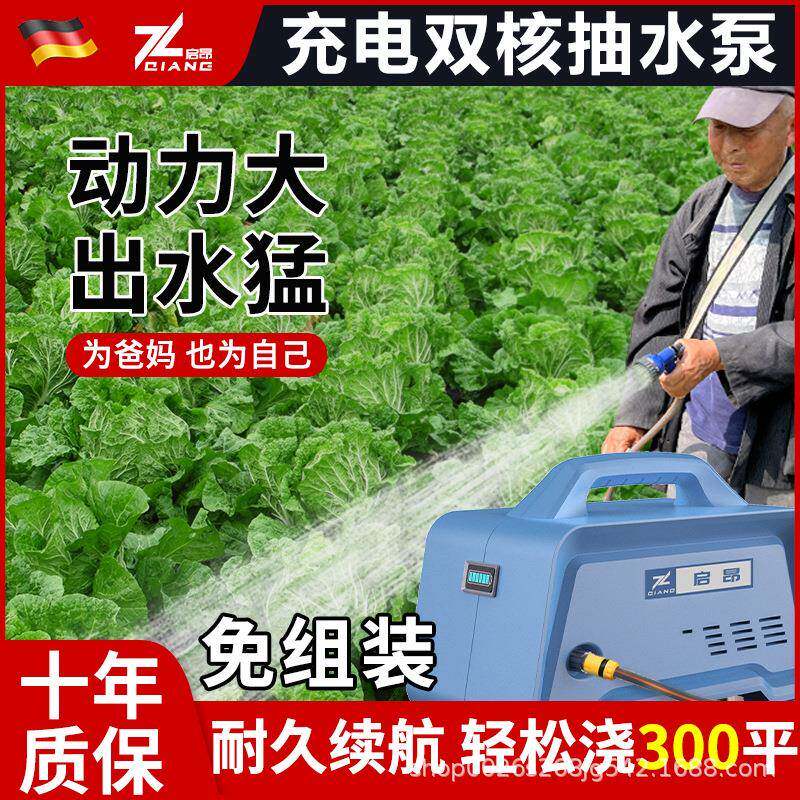 充电式抽水泵菜地浇水浇菜神器家用便携锂电小型抽水机农用浇地