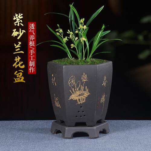 宜兴紫砂兰花盆六方大号陶瓷家用阳台室内带托盘盆景花盆
