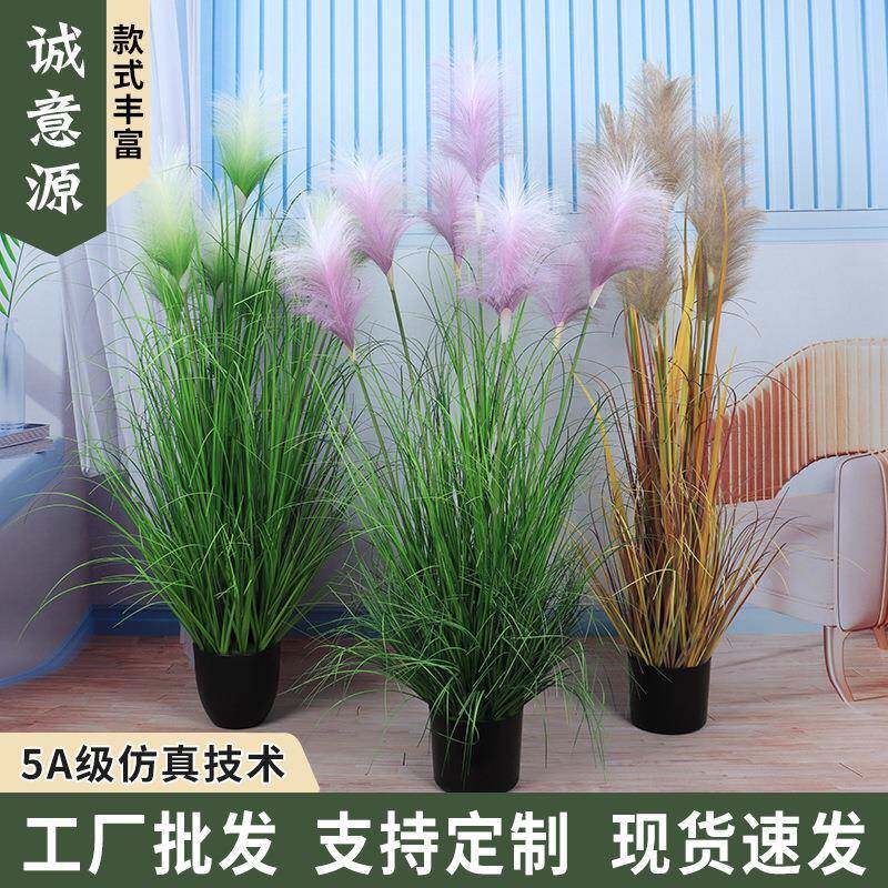 仿真芦苇洋葱草软装家居客厅落地盆栽摆件摄影仿真花道具布景装饰