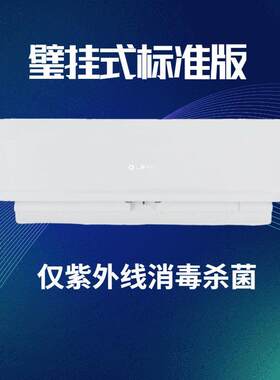紫外线循环风空气消毒机人机共处壁挂式消毒负离子净化光触媒除醛
