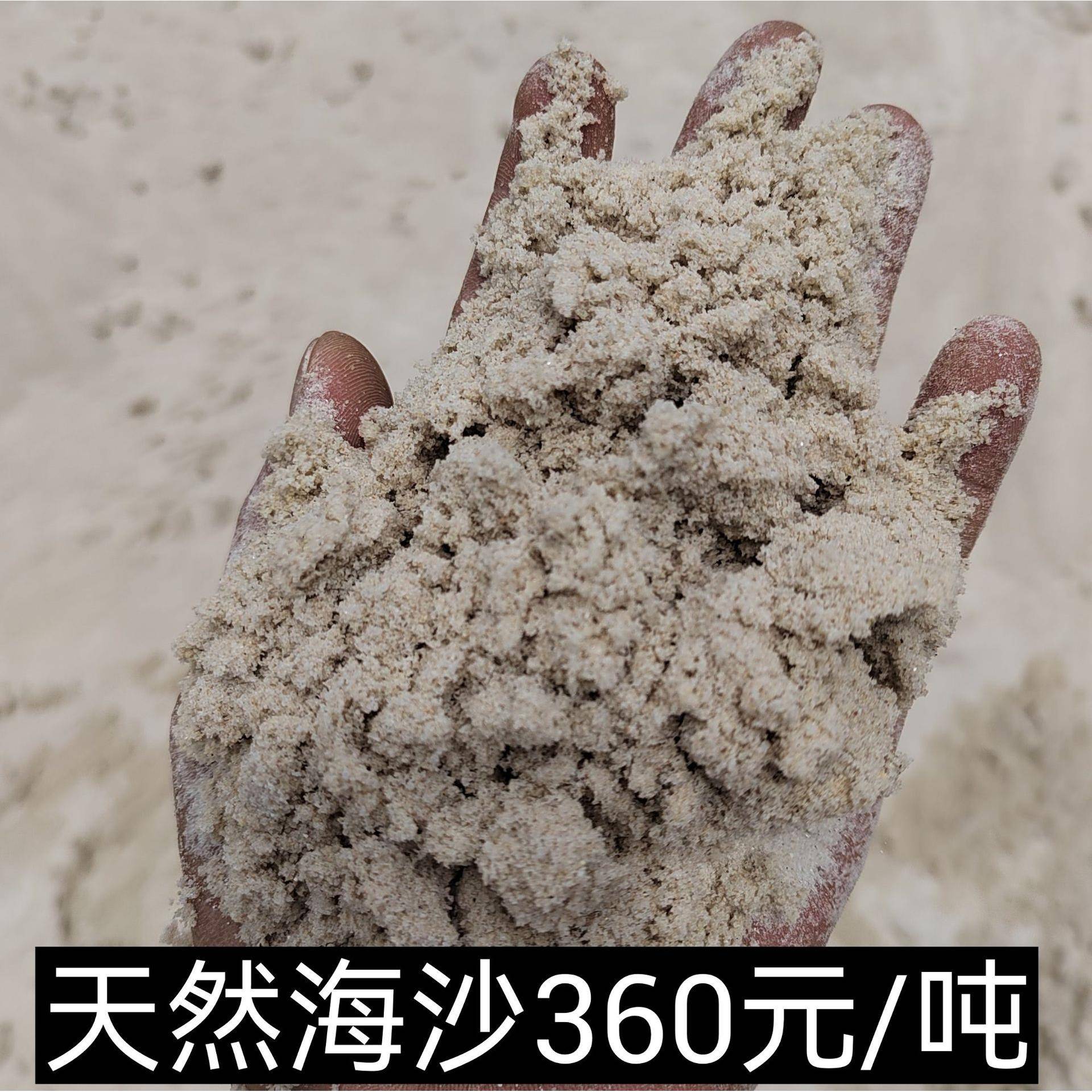 天然海砂烘干砂铸造砂儿童玩乐砂直销海南海口三亚三沙文昌