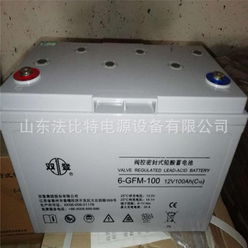 双登UPS蓄电池6-GFM-100/12V100AH通讯电源质保3年