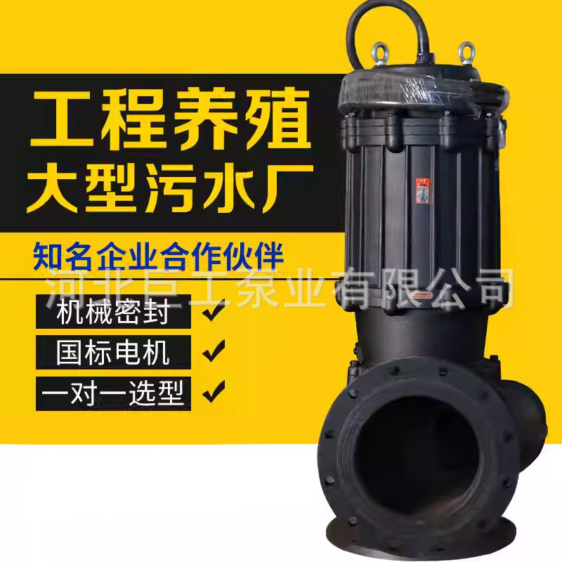 国标排污水泵潜水排污抽水泵1.5kw4千瓦380v抽粪三相7.5kw11kw