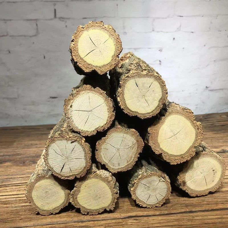 原木树枝树干水草缸森林造景香槟木树干树桩雨淋缸爬宠缸装饰躲避,宠物/宠物食品及用品,造景/装饰,淘宝优惠券,粉丝福利购,淘宝优惠卷