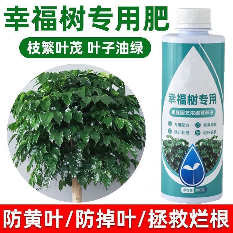 幸福树专用肥料营养液治落叶黄叶黑斑室内盆栽绿植物叶子干枯通用,鲜花速递/花卉仿真/绿植园艺,家庭园艺肥料,淘宝优惠券,粉丝福利购,淘宝优惠卷